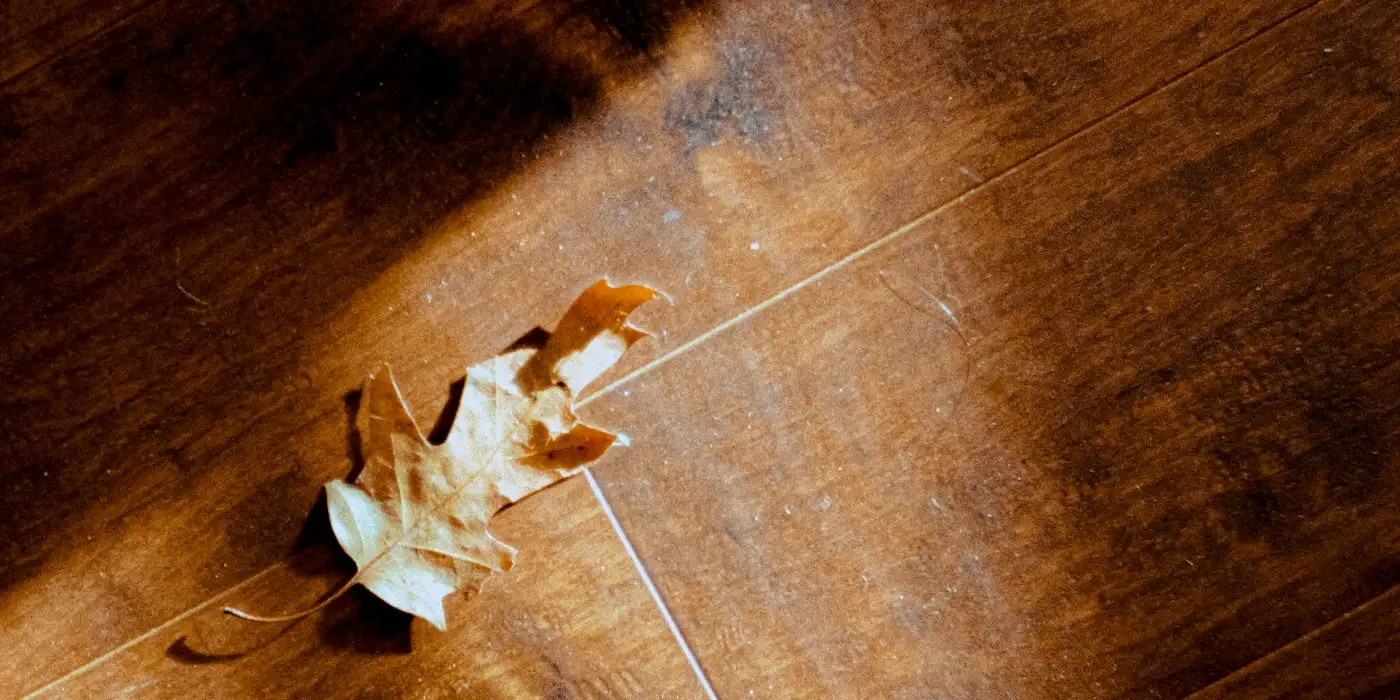 Eau sur un parquet après un dégât des eaux