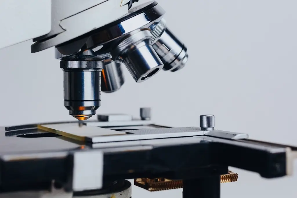 Microscope et échantillon lors d’une analyse de matériaux en laboratoire